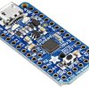 ADAFRUIT INDUSTRIES PRO TRINKET 5V Mikrokontroler Mikrokontroler 2000