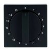 Busch-Jaeger czarny 2CKA001753A0255 1 szt.