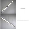 Paulmann 79902 Lento Pendant Light LED Chrome App Control Adjustable