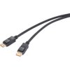 Renkforce RF-6562820 DisplayPort Cable Black 2m 8K UHD