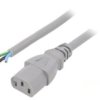 Kabel: 3X1mm2, Iec C13 Żeński, 1M, 10A, 250V Lt-501 H05vv-F 1.0/3C Gry 1M End