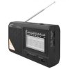 RADIO PRZEN. LTC-2016 WILGA USB AKU.CZAR