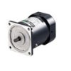 Silnik AC 60 W Oriental Motor 220 / 230 V 1 -fazowy, indukcyjny