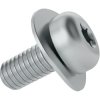 Combination screw, TX, M3, Ø 5.6 mm, 6 mm, steel, galvanized, ISO 14583, 081.55.321