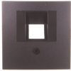 Berker/B.1/B.3/B.7 Glas Płytka czołowa pojedyncza do gniazda przyłączeniowego UAE antracyt 14071606