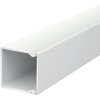 Cable duct, (L x W x H) 2000 x 40 x 40 mm, PVC, light gray, 6027016, 1 piece with 2 meters