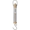Rapid Plastic Spring Balance Scales - 1000g/ 10N