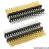 FW-19-04-F-D-170-170 Connect 2x19Pin R1.27 mm THT SAMTEC