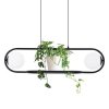 Lampa wisząca FINESTRA szklane klosze, funkcja kwietnika K-4961 Kaja Lighting