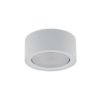 Flea Biały Oprawa Sufitowa Spot Nt 1X Gx53/ 12W Ip20 Stal Lakierowana