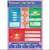 Program Flow Control Gloss Daydream Wallchart