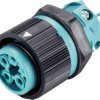 Wieland Electric 46.051.5053.6 Złącze okrągłe złącze żeńskie do wbudowania Seria: RST® MINI Łączna ilość styków: 4 + PE