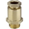 Wiska 10016850 Cable gland shockproof with seal M36 Brass Ecru