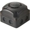 Werma Signaltechnik 153.000.55 Siren BWM 8 Tone 85mm 24VDC IP66