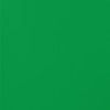 2011702 Vinyl film, permanent, 139 mm x 1219 mm, green