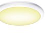Lampa sufitowa LED SLV RUBA 27 1005089 12 W 960 lm biały
