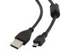 CCF-USB2-AM5P-6