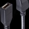 BS10-48055 DisplayPort 1.2 extension, 4K 60 Hz, 5.0 m