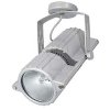 SCENA PS20 srebrny G12 70W Brilum 8251