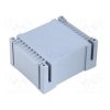 TSPZ24/2X15V
