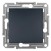 ASFORA Wyłącznik 2-biegunowy antracyt EPH0200171 SCHNEIDER ELECTRIC