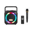 Zestaw głośnikowy PA100 z mikr. przenośny 
