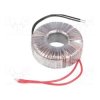 TST100W/10V