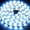 Taśma LED Basic 5050 6000K 5m/150 dioda