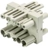 Dystrybutor Wieland Electric 92.050.7053.0