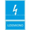 Tabliczka TZI 74X105P UZIEMIONO E04TZ-01042120300 ERGOM