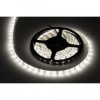 TASMA LED REBEL 300X5050 SMD B.N. 12V