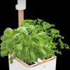 VBOT-EAWBA-B-66 Indoor herb garden, white