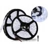 5m Cold White 12V Waterproof IP65 10mm LED Strip - SMD 5050 LEDs