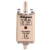Wkładka Bezpiecznikowa Noz.00/Gg 100A Wsk. 016345 /10Szt./