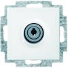 Busch-Jaeger Płytka przycisku Gniazdo sieciowe, zamykane Busch-balance SI śnieżnobiały 20 EUKBSL-914 1 szt.