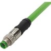 Sensor actuator cable, M8-cable plug, straight to open end, 4 pole, 0.5 m, PVC, green, 2134C700405005