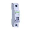 Rozłącznik izolacyjny Ex9BI 1P 40A 102381