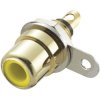 TruComponents 202613 RCA connector Socket, Vertical,Pins:2 Yellow