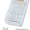 adapter LINDY LINDY RJ45 Stecker UTP Cat.6 10St. 62430, 1 szt.