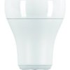 Żarówka GLS LED, 19 W, E27, 240 V, 2700K, SHOT