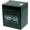 Fiamm FG20451 VRLA Battery 12V 4.5Ah AGM Maintenance-Free Low Discharge