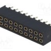 DS1023-07-2X10V8