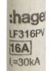 Hager LF316PV LF316PV Bezpiecznik (Ø x D) 10 mm x 38 mm Zawartość 10 szt.