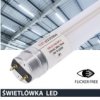 Świetlówka Led T8 G13 60Cm 9W 6500K 900Lm Pc Prescot Flicker Free