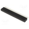 DS1065-07-1X24S8BV