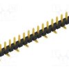 SLLP5SMD03817.G