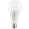 Żarówka Led Klasyczna E27 A80 24W 2500Lm 3000K 230V Led-2953