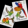60110 Bird protection stickers, set of 5