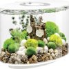 OASE biOrb 86414 biOrb LOOP 15 LED weiß Akwarium EEK: G (A - G) 15 l z Podświetleniem LED