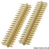 10075024-F01-20 Connector 2 x 20 Pin Gold THT FCICONN